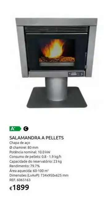 Casa Peixoto Salamandra db-855 10 kw a pellets promoção