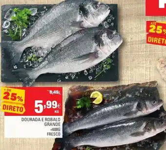 Continente Dourada da Robalo Grande +600g promoção