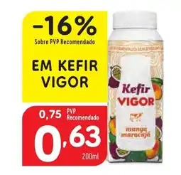 EM KEFIR VIGOR