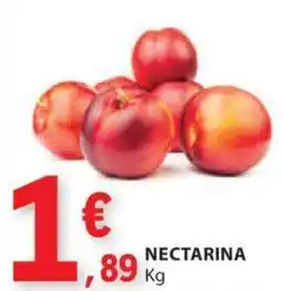 E.Leclerc NECTARINA KG promoção