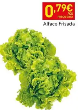 Recheio Alface Frisada promoção