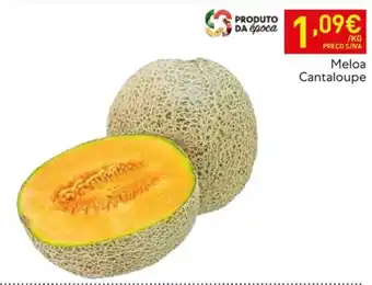 Recheio Meloa Cantaloupe promoção