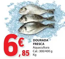 E.Leclerc DOURADA FRESCA Aquacultura Cal.: 300/400 g promoção