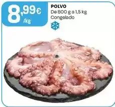 Intermarché Polvo promoção