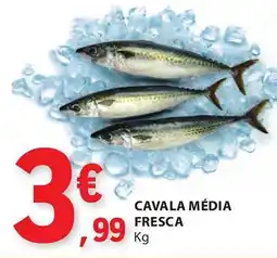 Cavala média fresca