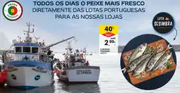 Continente Carapau pequeno promoção