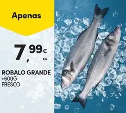 Continente Robalo grande promoção