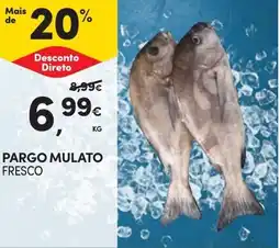 Continente Pargo mulato promoção