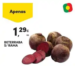 Continente Beterraba s/rama promoção