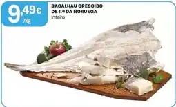 Intermarché Bacalhau crescido de 1.a da noruega promoção