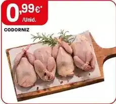 Intermarché Codorniz promoção