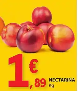 E.Leclerc Nectarina promoção