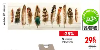 Conforama Quadro Plumas promoção