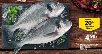 Continente Dourada Média 200-600g Fresca promoção