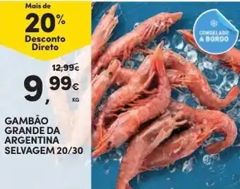 Continente Gambão Grande da Argentine Selvagem 20/30 promoção