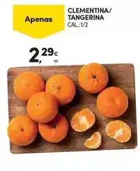Continente Clementina/ tangerina promoção