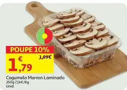 Cogumelo Marron Laminado