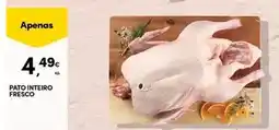 E.Leclerc Vitakraft - snacks para gato criskpy crunch promoção