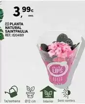 Pingo Doce Calvé - ketchup promoção