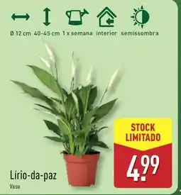 Pingo Doce Evax - pensos higiénicos liberty promoção