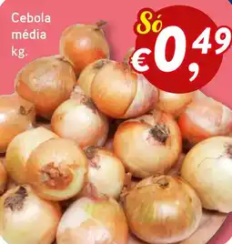 Bolama Cebola média promoção