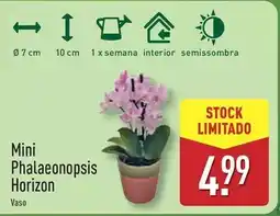 ALDI Up2fashion - pijama promoção
