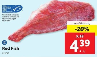 Lidl Red Fish promoção