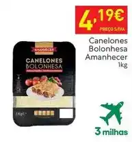 Recheio Amanhecer - canelones bolonhesa promoção