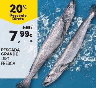 Continente Pescada Grande +1kg Fresca promoção