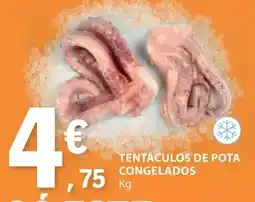 E.Leclerc Tentaculos de pota congelados promoção