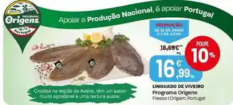 Recheio Masterchef - polvo promoção