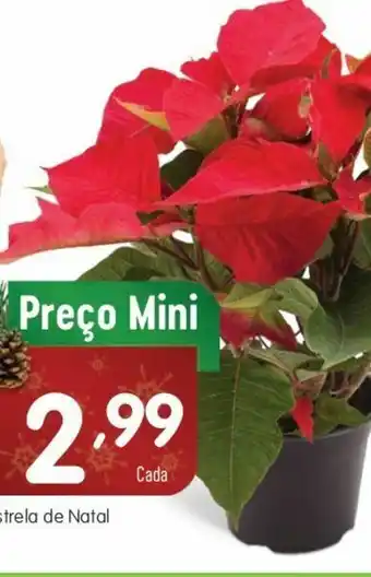 Plantas