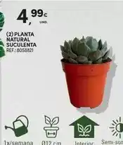 E.Leclerc Harpic - gel abrasivo promoção