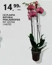 E.Leclerc Purina - alimento humido para gato felix promoção