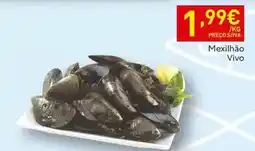 Continente Folhado de maca promoção