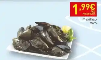 Continente Folhado de maca promoção