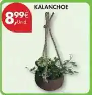 E.Leclerc Nacional - bolachas alfa promoção