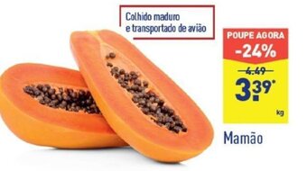 ALDI Mamão promoção