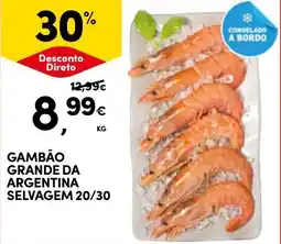 Continente Gambão grande da argentina selvagem 20/30 promoção