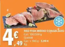 E.Leclerc Red fish medio congelado promoção