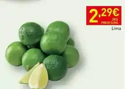 E.Leclerc Saco de flores promoção