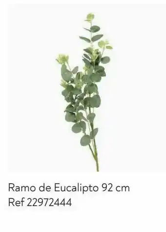 Decoração