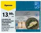 Continente Planta - natural poinsettia promoção