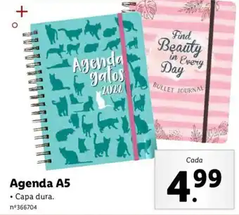 Agenda A5