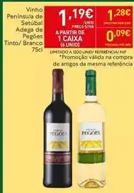 Adega - vinho