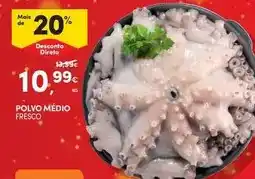 Continente Polvo medio promoção