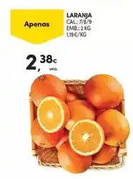 Pingo Doce Leitão assado à bairrada promoção