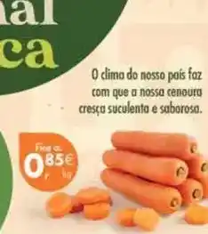 Pingo Doce A+ - o clima do nosso pais faz com que a nossa cenoura promoção