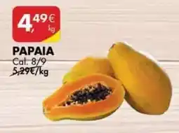 Pingo Doce Papaia promoção