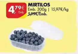 Pingo Doce Mirtilos promoção